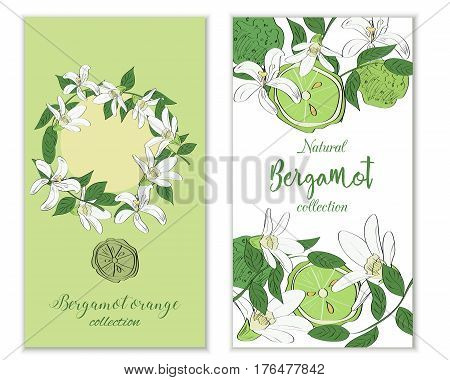 Vertical Vectror Banners With Hand Drawn Bergamot Flowers And Fruits. Package Design.