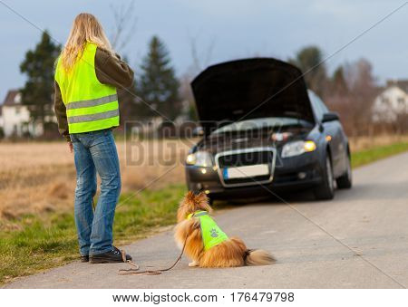 woman and a dog with reflective vest stands on a broken car