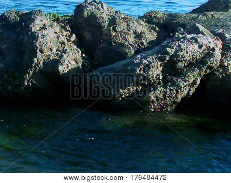 Las rocas que siempre forman parte de mi vida