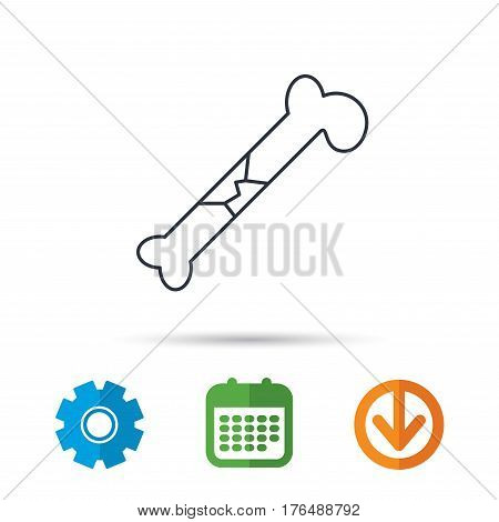 Bone fracture icon. Traumatology sign. Human bone break. Calendar, cogwheel and download arrow signs. Colored flat web icons. Vector