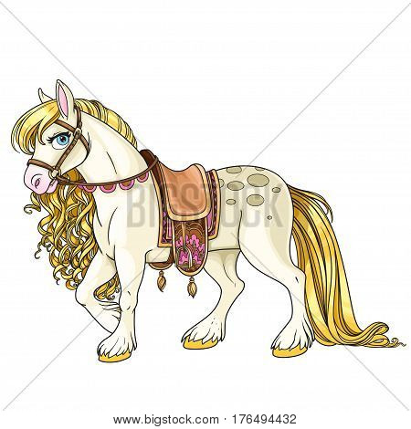 Cute White Horse With Golden Mane Harnessed To A Saddle Isolated