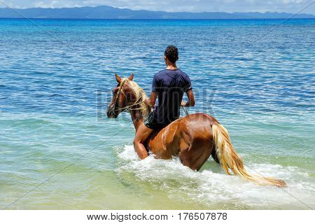 Young man riding horse on the beach on Taveuni Island Fiji. Taveuni is the third largest island in Fiji.