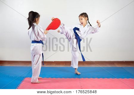 Two little girls demonstrate martial arts working together. Fighting position active lifestyle expressing emotions