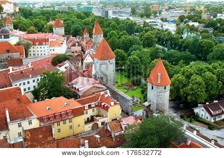 Tallinn. Estonia. View to old town from Oleviste church in summer