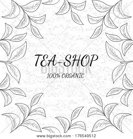 Green tea shop leaf illustration branch organic hand drawing sketch square banner template for packing cosmetics packaging branding etc
