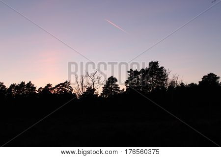 Jet across purple sky with woodland silhouette