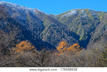Autumn Scenery In Nikko, Japan