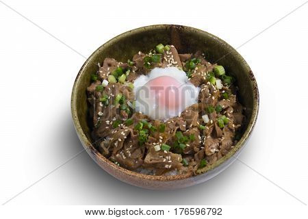 Japanese food rice with slice pork and egg, Butadon