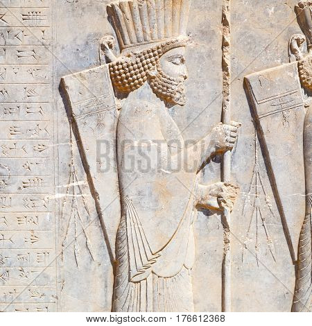 In Iran          Persepolis