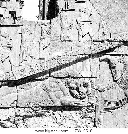 In Iran          Persepolis