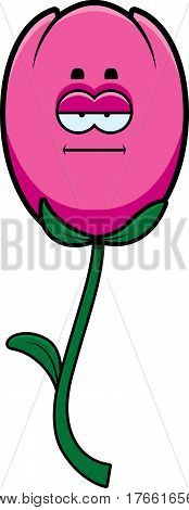 Calm Tulip