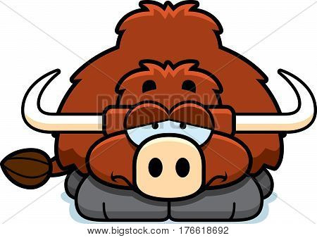 Sad Little Yak