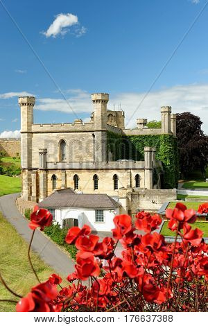 Poppies Wave Sculpture At Lincoln Castle, Lincoln, England.