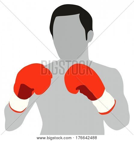 boxing sport