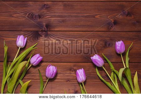 Early tulips on a brown wooden background