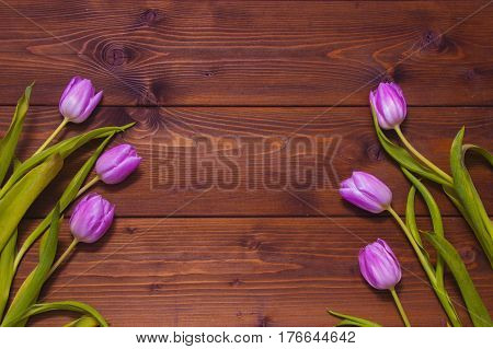 Early tulips on a brown wooden background