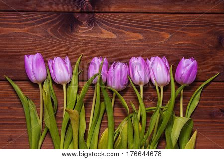 Early tulips on a brown wooden background