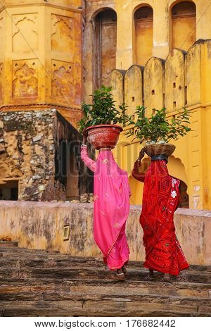 Local women carrying pots with plants on their heads at Amber Fort Rajasthan India. Amber Fort is the main tourist attraction in the Jaipur area.