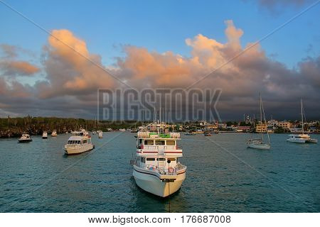 Boats anchored in Academy Bay near Puerto Ayora on Santa Cruz Island Galapagos National Park Ecuador. The bay was named for the California Academy of Sciences which sent an expedition here in 1905.