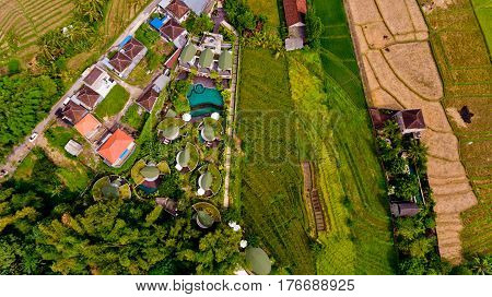 Aerial view area hotel in the jungle. Tabanan, Bali, Indonesia.