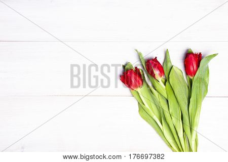 Early tulips on a light wooden background