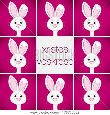 Bright Easter Bunny Card In Vector Format. Words Translate To 
