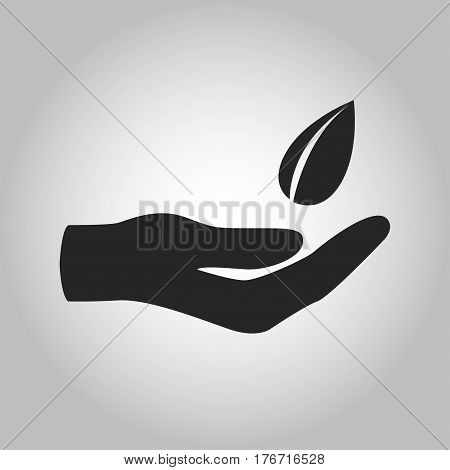 icon hand with leave saving eco nature on grey bckground