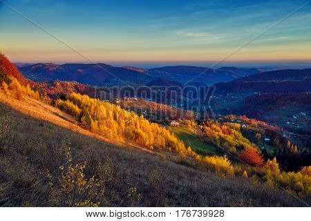 Majestic vivid birches in sunny beams at mountain valley. Dramatic and picturesque morning scene. Red and yellow leaves. Warm toning. Carpathians Sokilsky ridge, Kosiv, Ukraine, Europe. Beauty world.