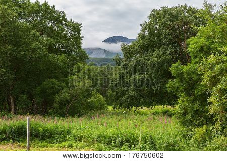 Territory of the South Kamchatka Federal Wildlife Refuge