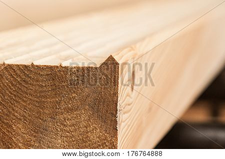 Lumber Industrial Wood Texture, Timber Butts Background