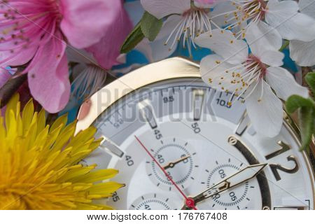 Springtime has come. Spring blossoms, Spring Beautiful