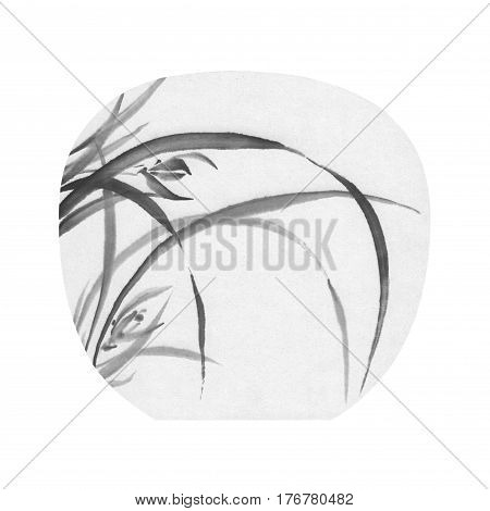 Wild orchid in bloom. Ink painted orchid flowers over white. Blossom collection. Hand drawn illustration.