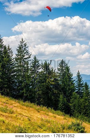 Skydivers fly over the forest on hillside. Parachute extreme sport