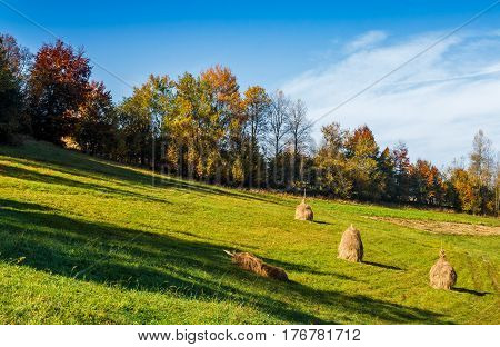 Mountain Rural Area In Autumn