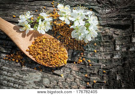 Bee pollen in a wooden spoon and flowers of spring trees. Apitherapy. Bee products