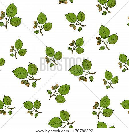 Seamless vector pattern with hand drawn hazelnut tree branches.