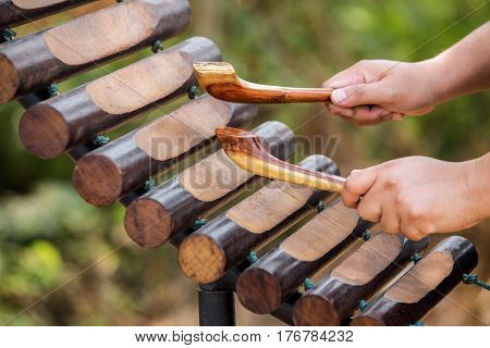 Pong Lang Thai northeast region The Thai musical instruments