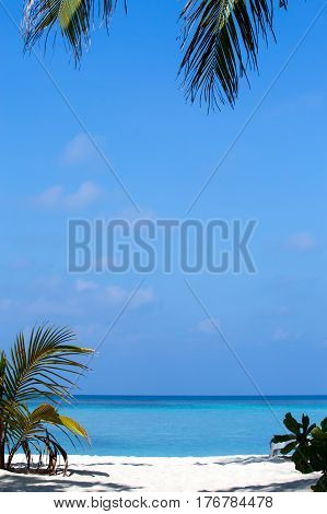 Tropical white sandy beach with palm trees. Maldives.