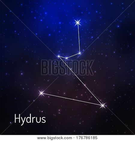 Hydrus constellation in the night starry sky. Vector illustration