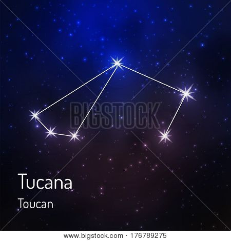 Tucana toucan constellation in the night starry sky. Vector illustration