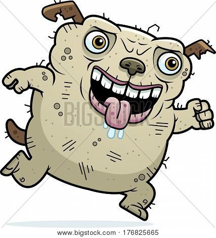 Ugly Dog Running