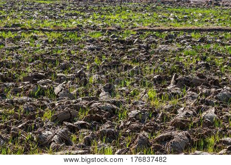 Shoved Soil Preparing for Agriculture , Ground