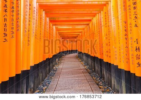 Red Torii gates in Fushimi Inari shrine in Kyoto Japan