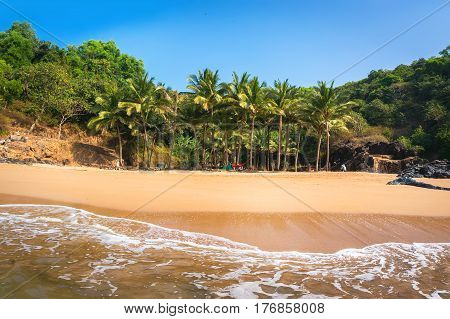 Paradise beach in Gokarna India. Beautiful deserted landscape with clean sand and wave. View from the sea to the shore.