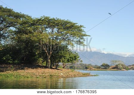 Bird Island On The Lake Of Suchitlan Near Suchitoto