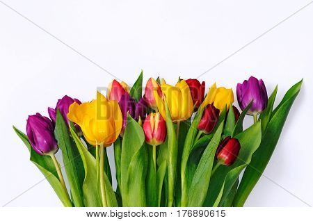 Bouquet of multicoloured tulips on white background.