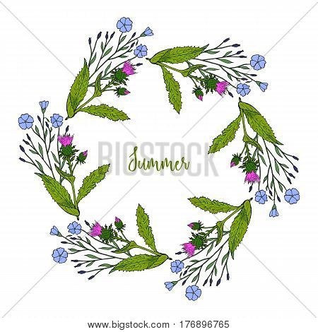 Hand drawing wild herbs wreath - thistle and flax