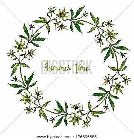 Hand drawing wild herbs wreath - bur-marigold herb