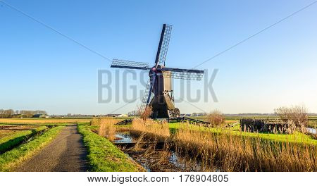 Dutch water hollow post mill built around the year 1700 in a polder landscape on a sunny day in the autumn season.