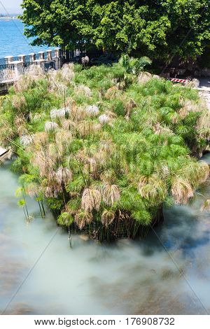 View Of Spring Of Arethusa In Syracuse City